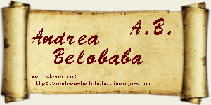 Andrea Belobaba vizit kartica